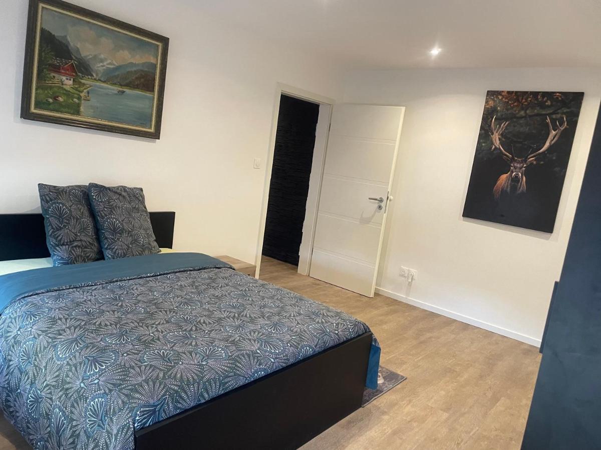 Superbe Appartement Au Rdc Avec Cheminee Villerupt Exterior photo